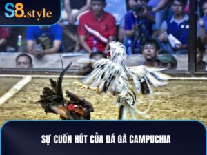 Đá gà Campuchia