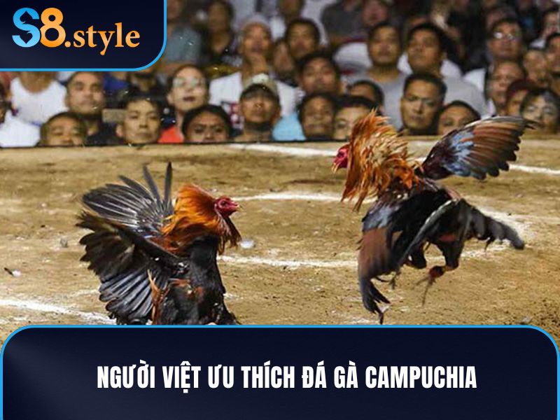 Đá gà online Campuchia đang là bộ môn ưa thích của người Việt