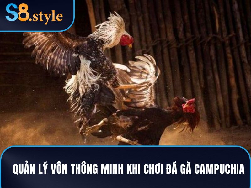 Quản lý vốn thông minh sẽ giúp người chơi sống sót khi cược vào đá gà Campuchia
