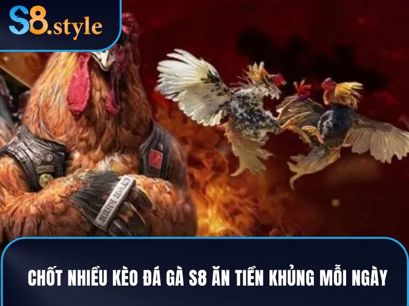 Chốt nhiều kèo đá gà S8 ăn tiền khủng mỗi ngày