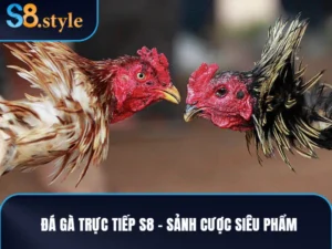 Đá gà trực tiếp