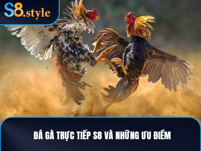 Đá gà trực tiếp S8 và những lý do bet thủ nên tham gia